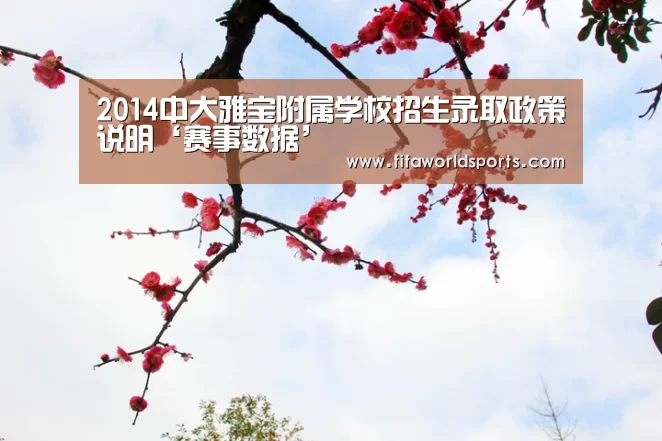 2014中大雅宝附属学校招生录取政策说明‘赛事数据’