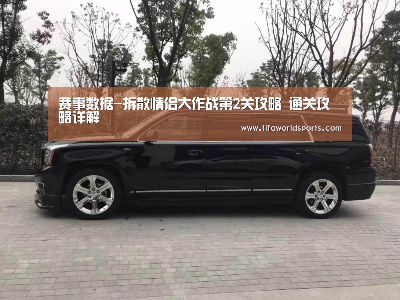 赛事数据